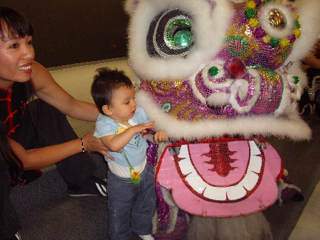 X and the Lion