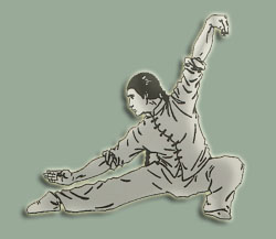 Lohan Tai Chi